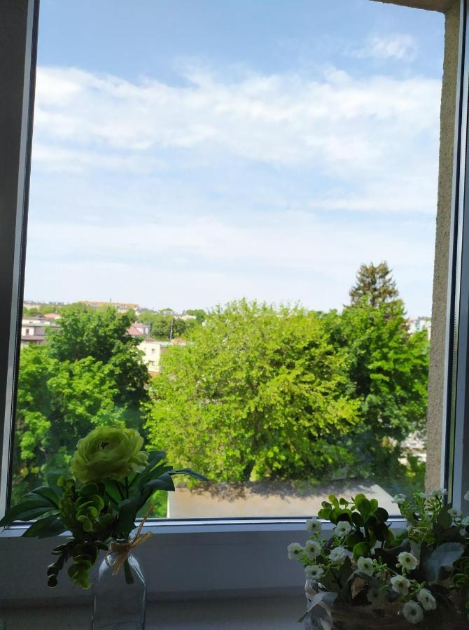 Juliusz Apartment ซานดอเมียร์ช ภายนอก รูปภาพ